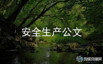 综合安全治理工作总结5篇