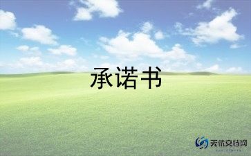 安全责任承诺书优质范文5篇