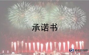 公司承诺书模板通用8篇