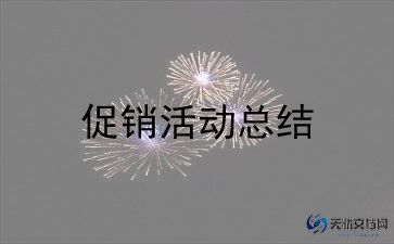 十一促销活动方案模板7篇