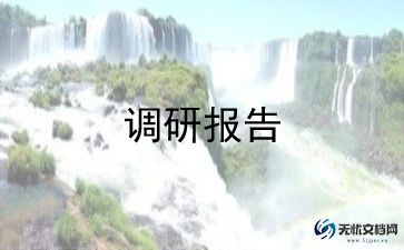 三农调研报告5篇