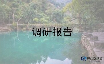 网购调研报告5篇