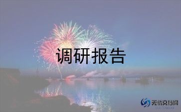 镇雄家乡调研报告7篇