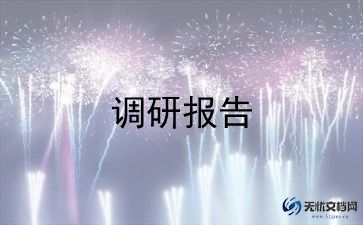 矿泉水调研报告5篇