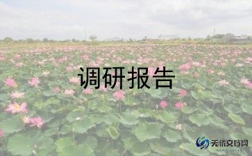 农村小学调研报告范文6篇