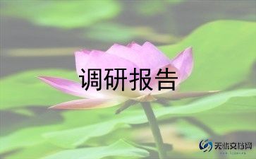 旅游文化调研报告8篇