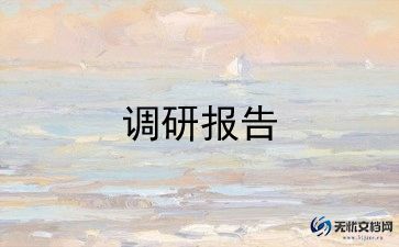 空巢老人调研报告6篇