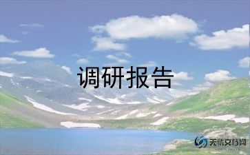 调研报告会计6篇