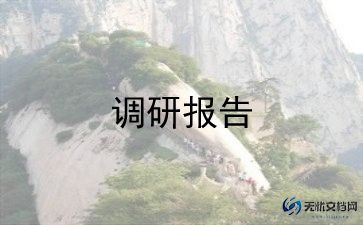 市场服装调研报告通用6篇