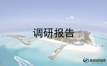 财务调研报告范文800字5篇