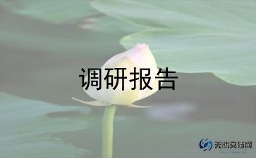 不忘初心牢记使命主题教育专题调研报告8篇