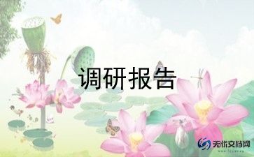 师范生小学调研报告最佳范文6篇