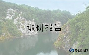 写调研报告的模板精选5篇