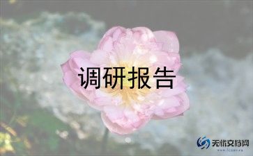 市场服装调研报告6篇