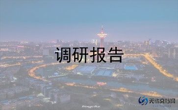 社会实践点调研报告模板6篇