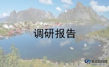 对发展文化的调研报告6篇