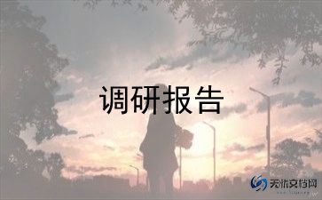 调研报告个人总结5篇