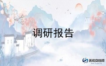 老年调研报告8篇