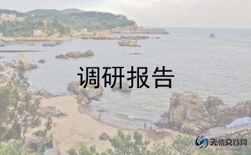 财务调研报告范文1000字5篇