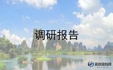 问题类调研报告6篇