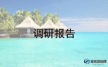 2024服装市场调研报告通用8篇