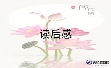 杨家将读后感500字5篇