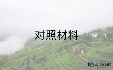 对照检查检查材料6篇