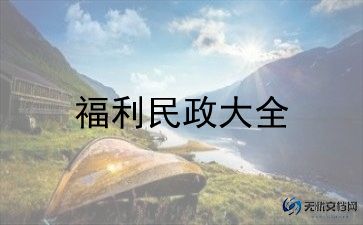 2024社区民政工作总结7篇