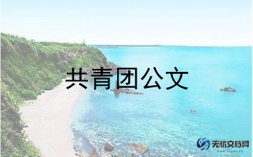 村优秀共青团干部事迹材料5篇