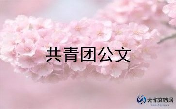 共青团优秀团干部事迹材料推荐6篇