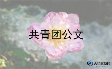 校优秀共青团员主要事迹7篇