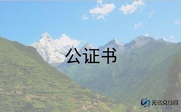 软件技术合同模板8篇