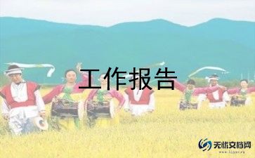 个人银行总结报告范文5篇