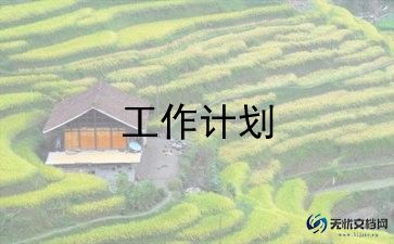 2022年农村党建年度工作计划6篇