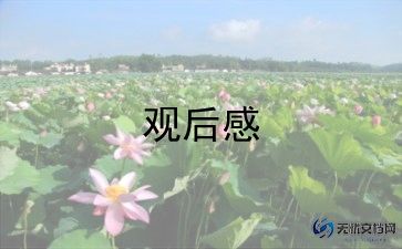 攀登着观后感6篇