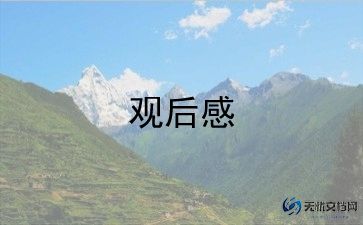 2023辽篮夺冠观后感8篇