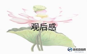 悲惨世界的观后感参考5篇