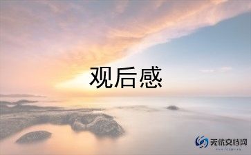 看2024直播观后感精选7篇