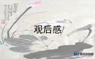 王者观后感6篇