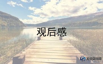 神奇飞书观后感7篇