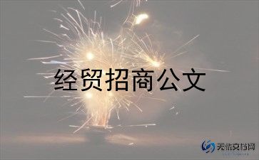 2024招商个人年终总结7篇