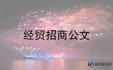 2024年招商个人工作总结5篇