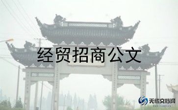 招商年终个人总结5篇