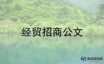 招商工作个人年终总结6篇