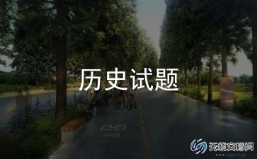 历史老师个人年度总结范文8篇