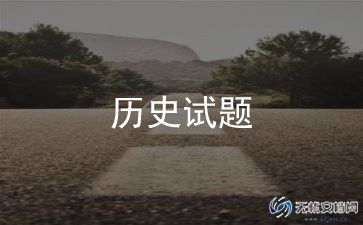 历史老师个人总结年度个人总结5篇