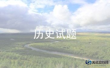 历史老师个人总结年度个人总结模板8篇