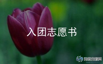 写大学入团申请书800字5篇