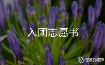 进入团申请书800字5篇