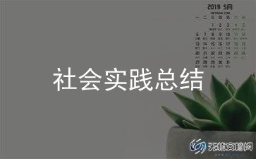 在公司的社会实践报告6篇